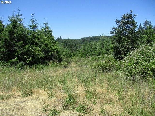 00 NW MT. RICHMOND RD, GASTON, OR 97119, photo 1 of 18