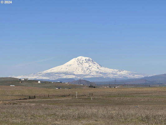 44 COLE MOUNTAIN LOOP, GOLDENDALE, WA 98620, photo 4 of 10