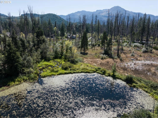 MCKENZIE HWY, BLUE RIVER, OR 97413, BLUE RIVER, OR 97413 - Image 1