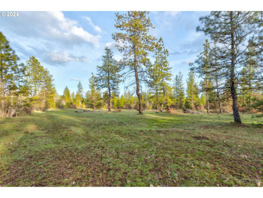 14 GREYBACK MT RD # 14, GOLDENDALE, WA 98620 - Image 1