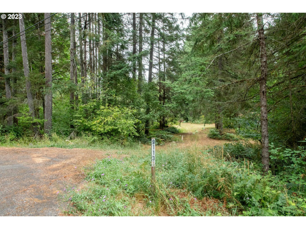 91131 POODLE CREEK RD, NOTI, OR 97461, photo 1 of 27