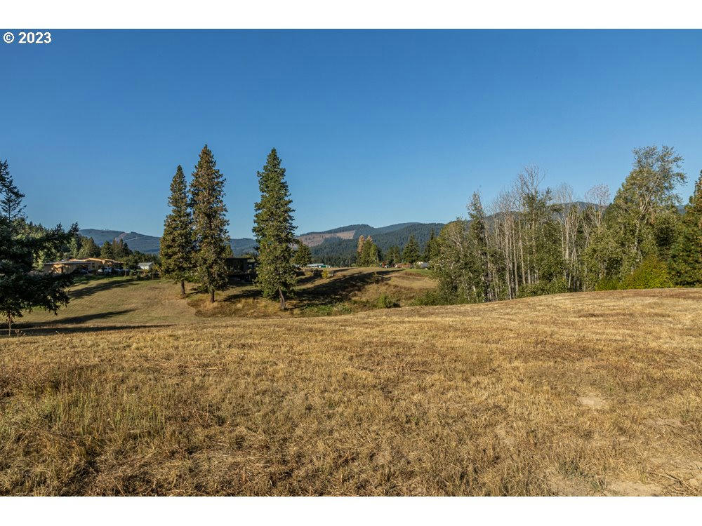 LOT 25 HUSUM GREENS, WHITE SALMON, WA 98672, WHITE SALMON, WA 98672, photo 1 of 41