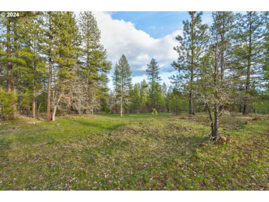 3 GREYBACK MT RD # 3, GOLDENDALE, WA 98620 - Image 1