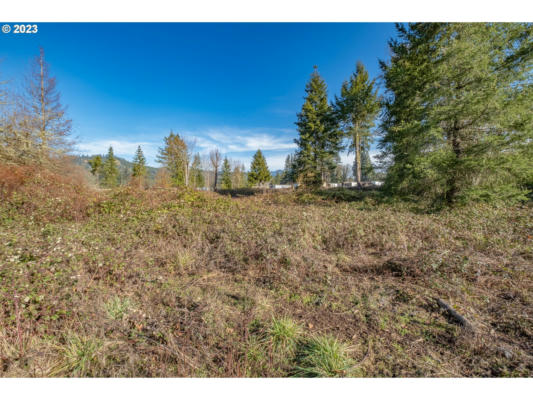 1355 45TH AVE # LOT15, SWEET HOME, OR 97386, photo 3 of 24
