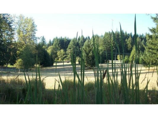 1047 STATE ROUTE 506, VADER, WA 98593 - Image 1