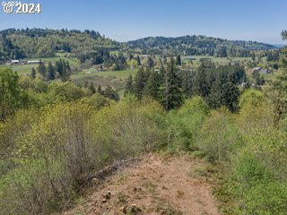 0 RUGG RD, DAMASCUS, OR 97089, photo 4 of 24