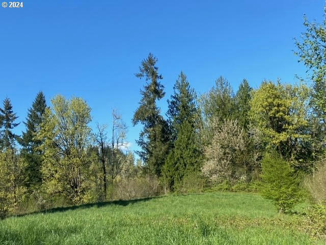 BRANCH ROAD, SCAPPOOSE, OR 97056, photo 1 of 7