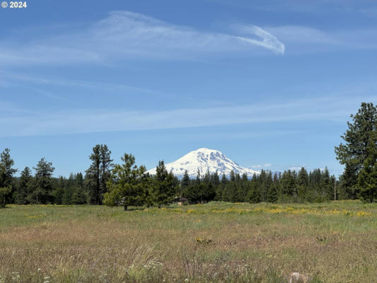 1 MOUNTAIN VIEW RANCH RD, GOLDENDALE, WA 98620 - Image 1