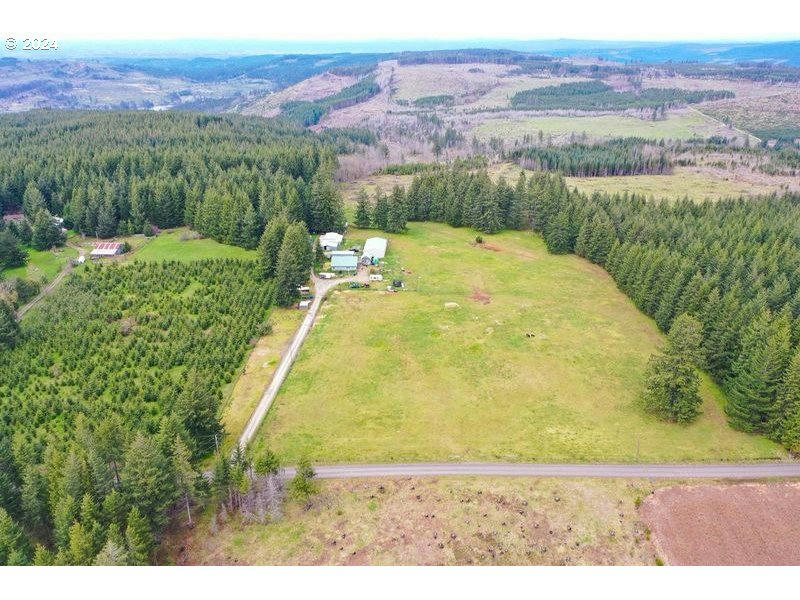 16501 S BUTTE CREEK RD, MOLALLA, OR 97038, photo 1 of 19