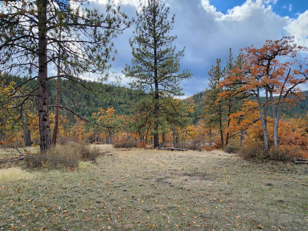 LOGGING GULCH, DUFUR, OR 97021, photo 1 of 28