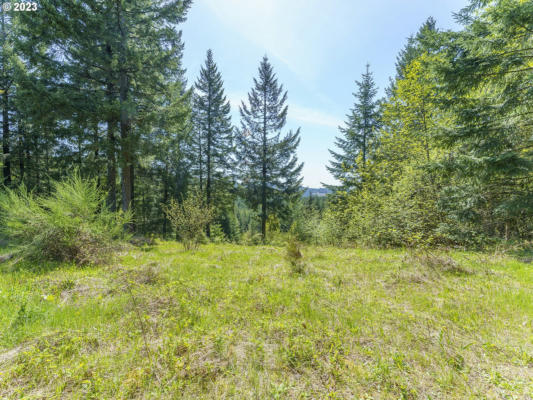 25308 NW MOUNTAIN DR, BANKS, OR 97106 - Image 1
