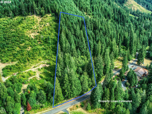 BEAR CREEK RD, CARSON, WA 98610 - Image 1