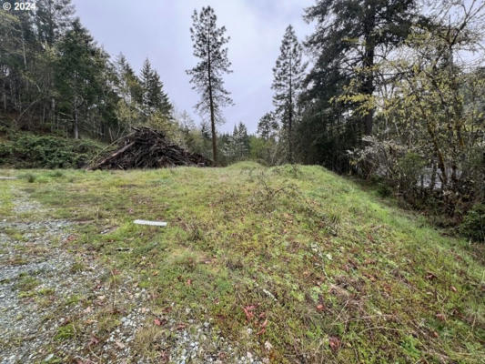 1482 CANYONVILLE RIDDLE RD, RIDDLE, OR 97469 - Image 1