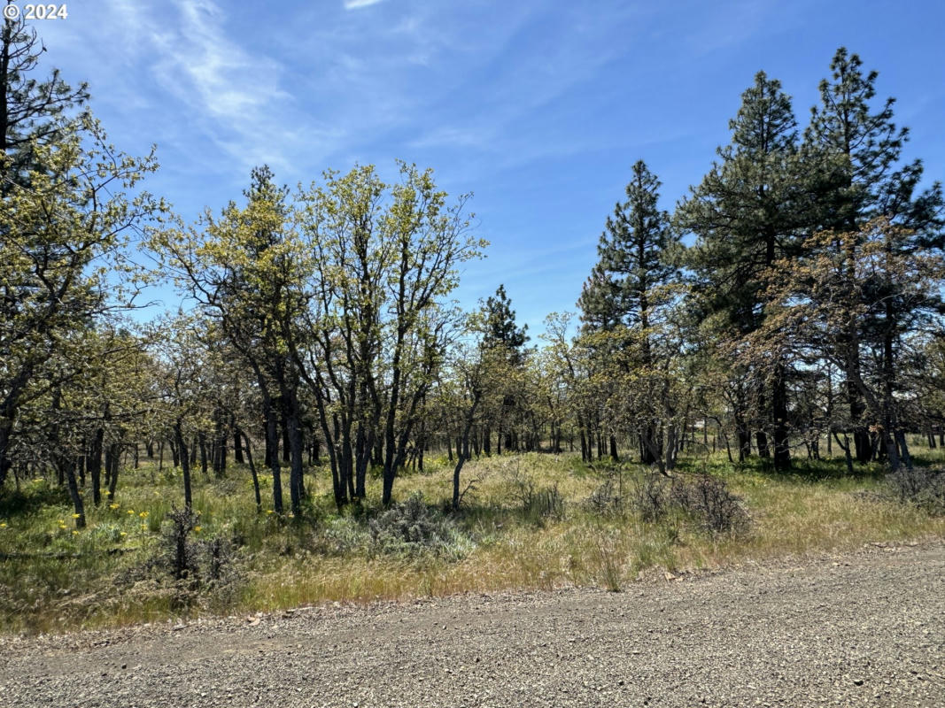 D PINE, GOLDENDALE, WA 98620, photo 1 of 25