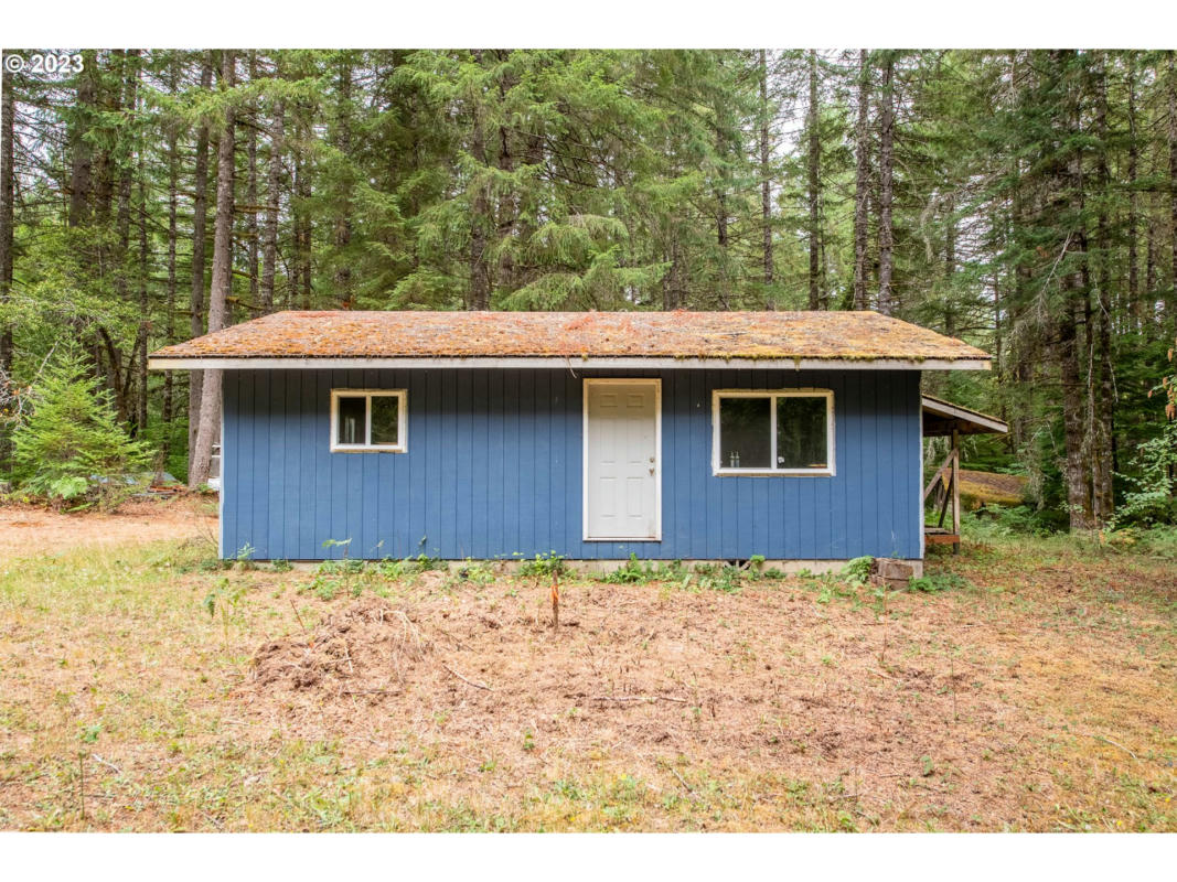 91131 POODLE CREEK RD, NOTI, OR 97461, photo 1 of 22