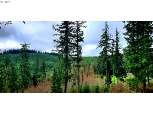 VIEWCREST DR, WARREN, OR 97053 - Image 1