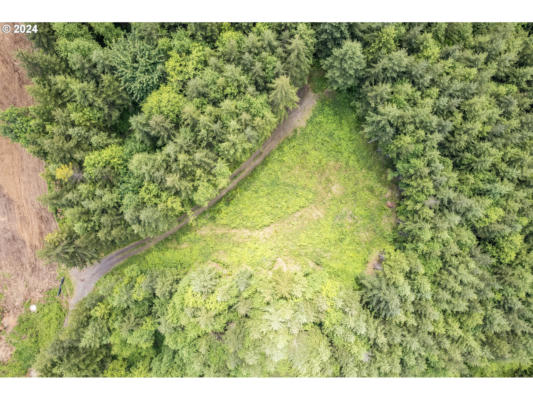 0 S GOBLE CREEK RD # LOT C, KELSO, WA 98626 - Image 1