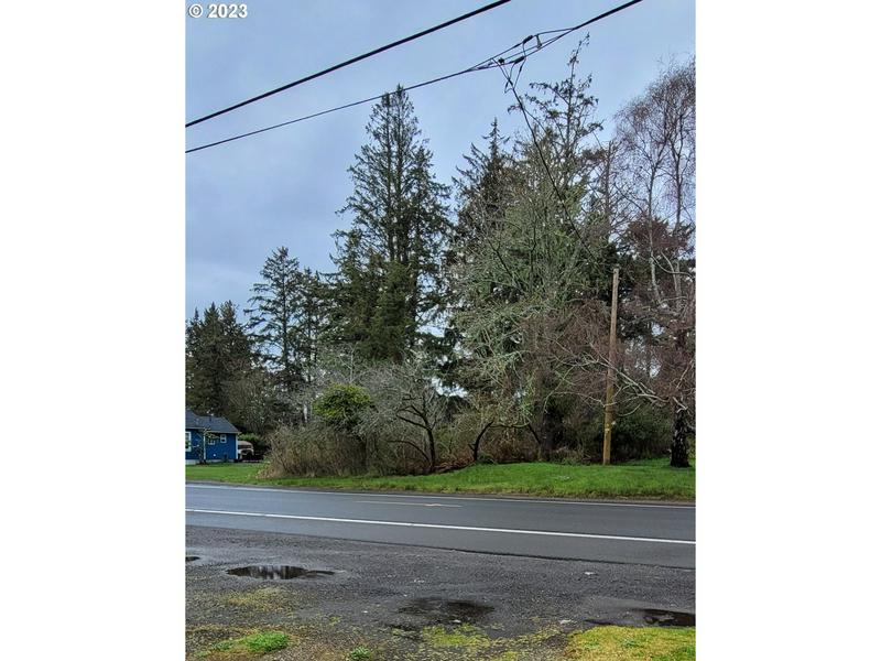 02200 VACANT LAND PACIFIC DR, HAMMOND, OR 97121, photo 1
