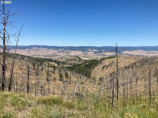 0 BALDY MT, JOHN DAY, OR 97845, photo 1 of 7