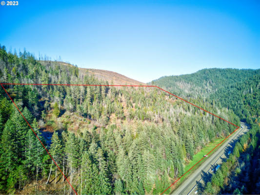280 RITCHIE RD, CANYONVILLE, OR 97417 - Image 1