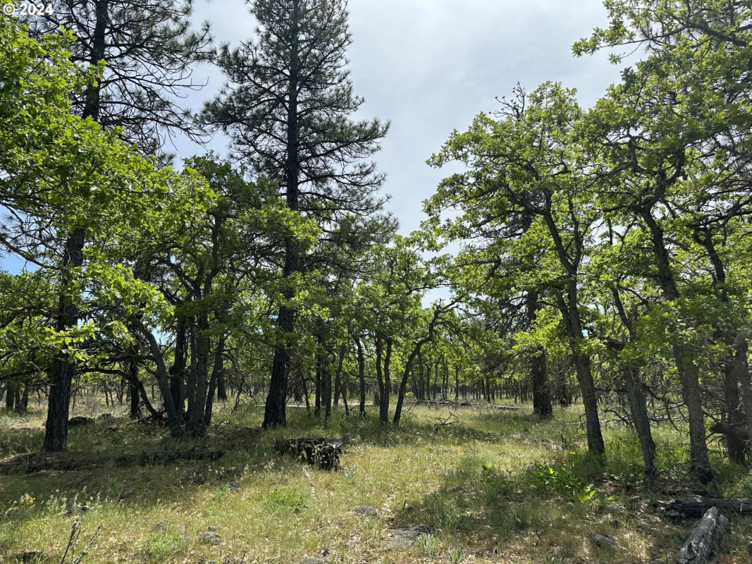 0 D PINE, GOLDENDALE, WA 98620, photo 1 of 5