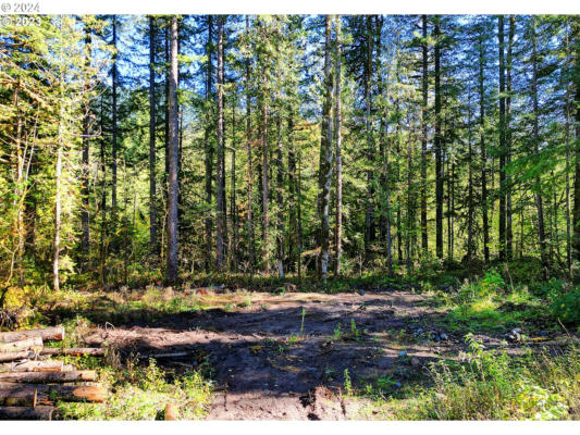 64293 E BRIGHTWOOD LOOP RD, BRIGHTWOOD, OR 97011 - Image 1