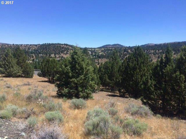 ADAM RD, CANYON CITY, OR 97820, CANYON CITY, OR 97820, photo 1 of 10