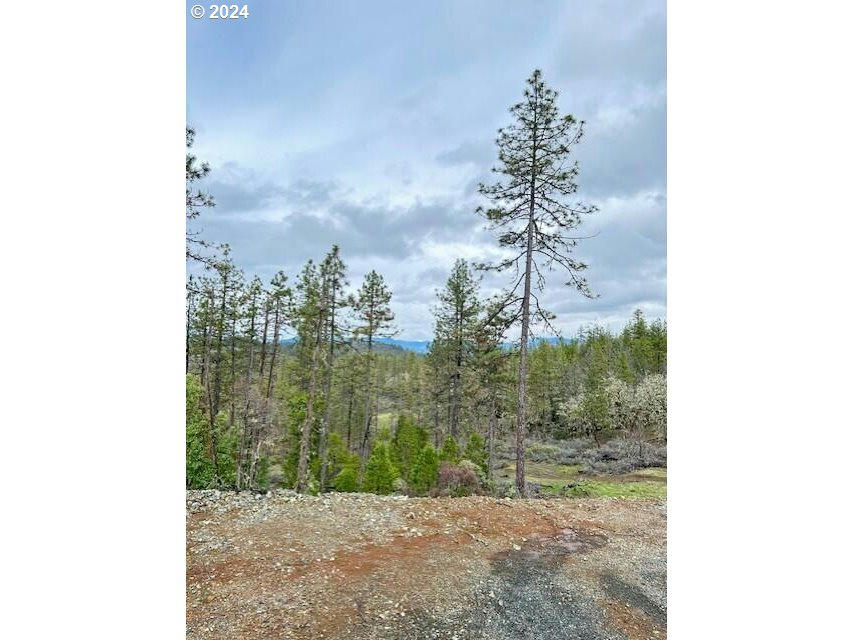 3300 WALDO RD, CAVE JUNCTION, OR 97523, photo 1 of 15