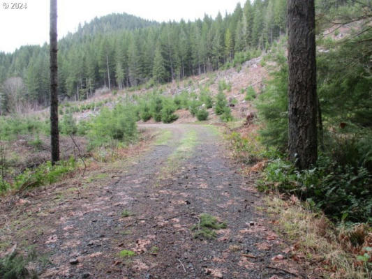 000 QUARTZVILLE RD, SWEET HOME, OR 97386 - Image 1