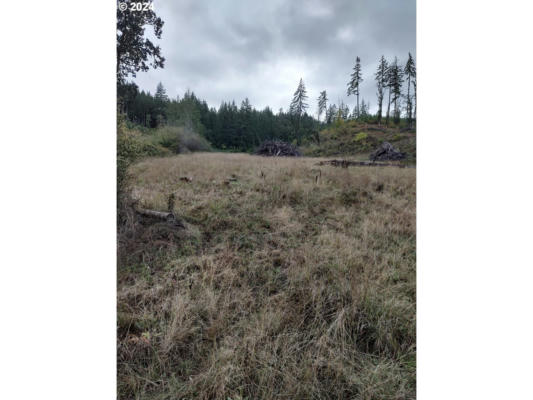 0 FORT HILL RD, WILLAMINA, OR 97396 - Image 1