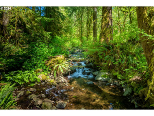 14005 BAUER RD, NESKOWIN, OR 97149 - Image 1